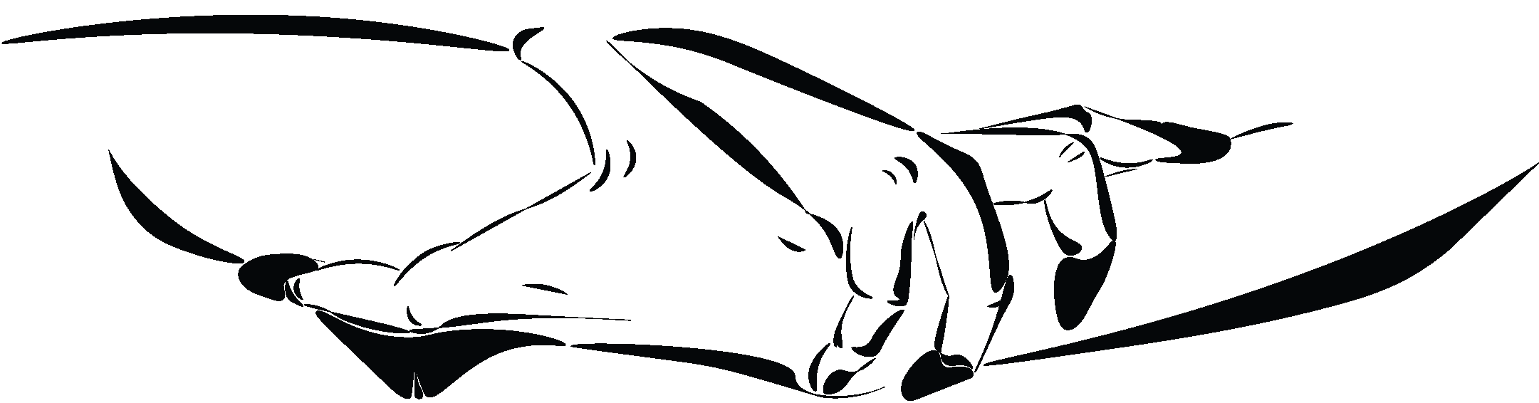 logo main